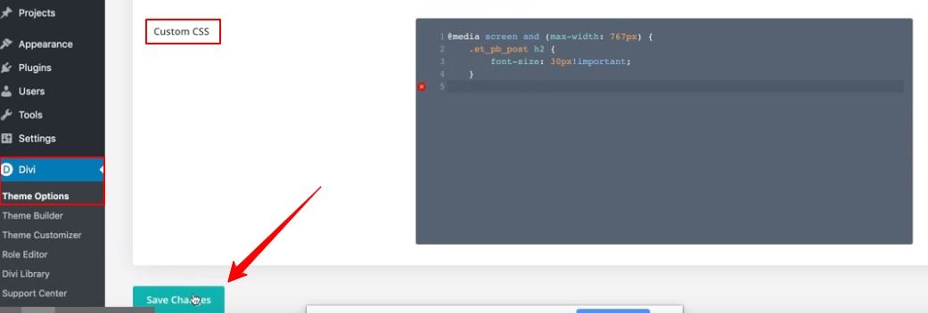 Divi Mobile Font Issues: Adding custom CSS to theme options