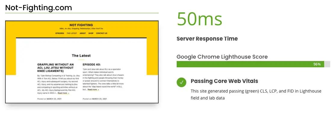website not fighting fast wordpress scores