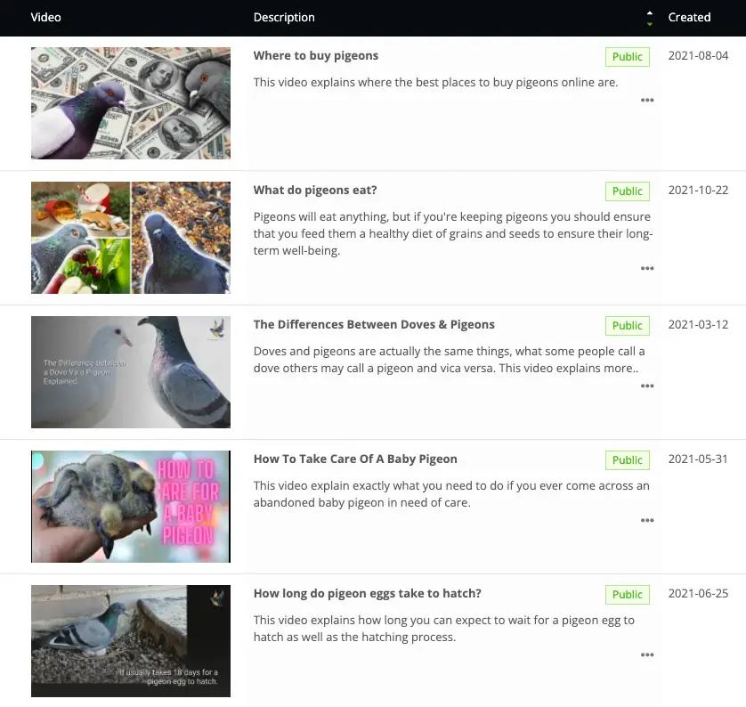 Image in See How One Website Increased Revenue by 200% Using Ezoic’s Video Platform