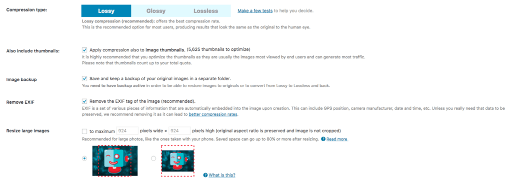 settings for website webp images