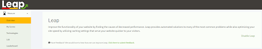 Image in Unlocking Website Growth: Mastering Speed with Leap