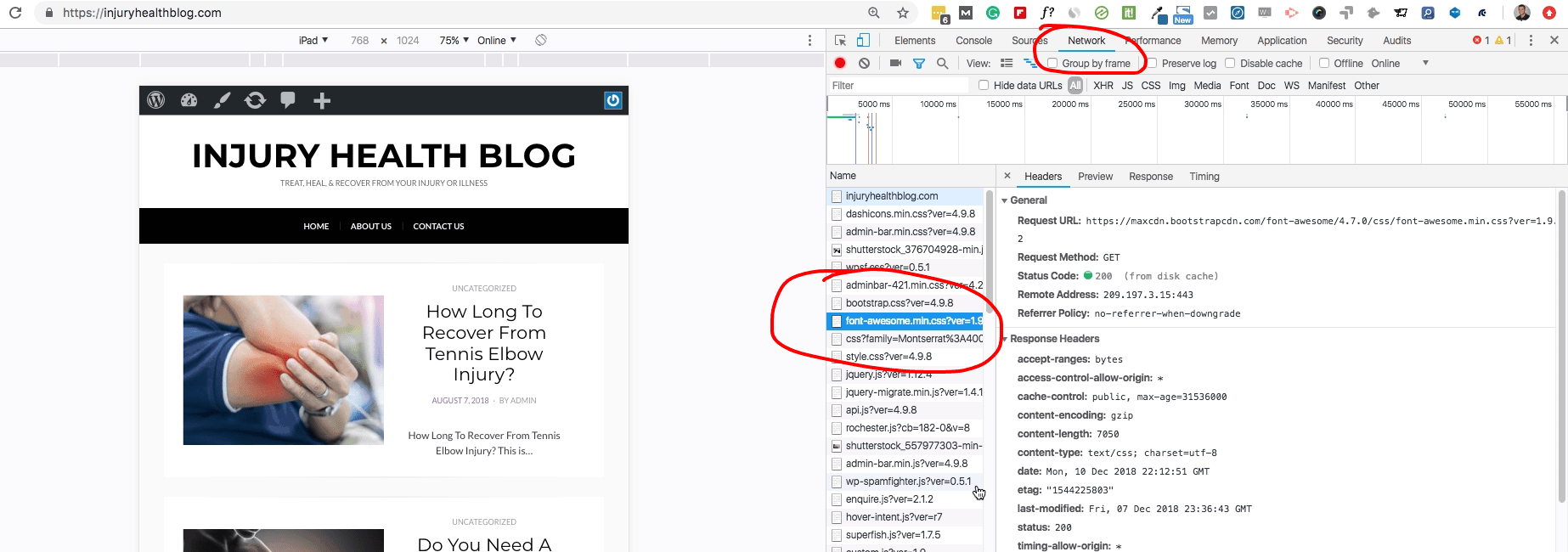 fonts for WordPress websites