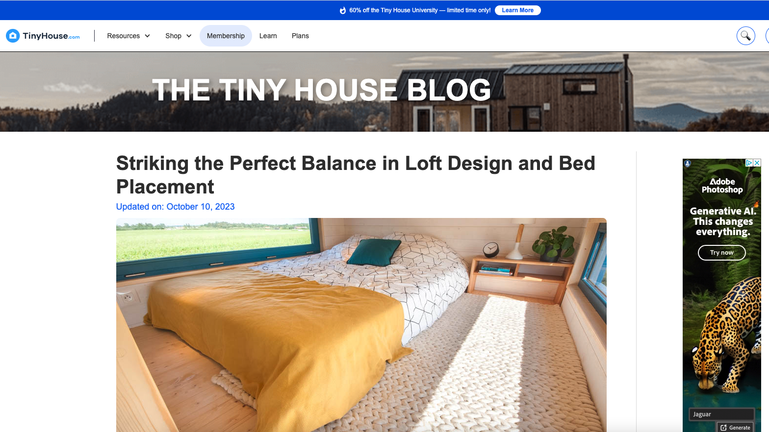 Image in Tiny House, Big Success: TinyHouse.com’s Monetization Mastery