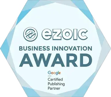 google award-winning partner